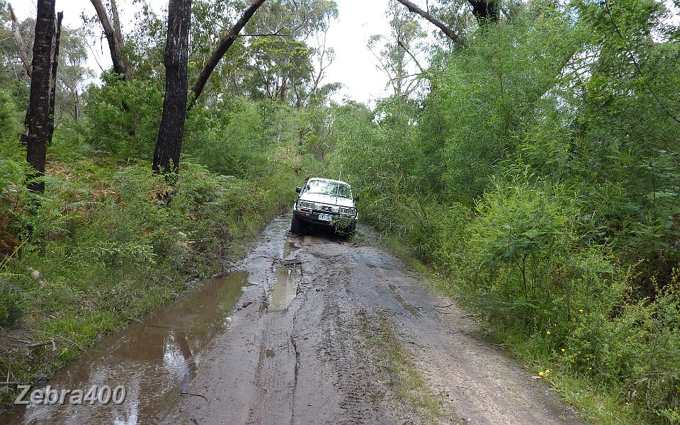 26-Laurie enjoys a bog hole near Rose Creek in the Grampians.JPG